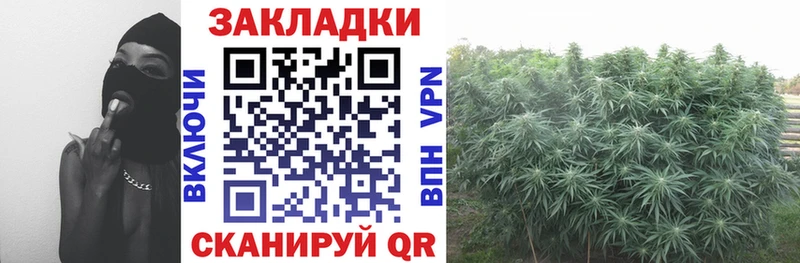 Продажа наркотиков Сосенский Галлюциногенные грибы  Alpha-PVP  COCAIN  ГАШИШ  АМФ  МЕФ  Конопля 